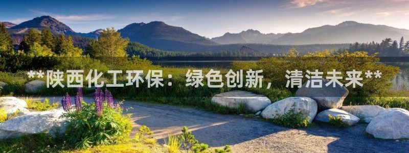 亿万先生客户端官网首页：**陕西化工环保：绿色创新，清洁未来**