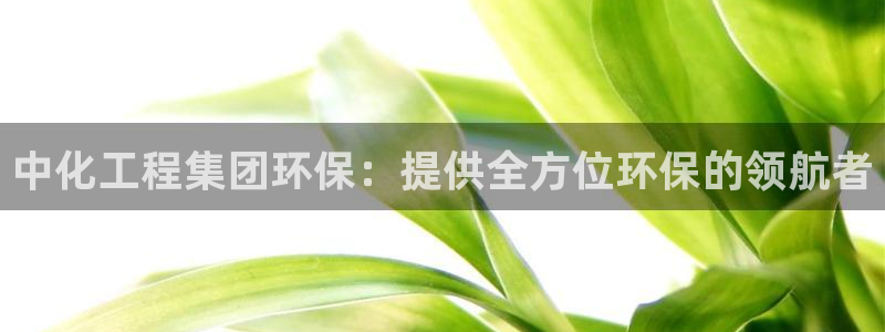 亿万先生客服联系方式是什么：中化工程集团环保：提供全方位环保的领航者