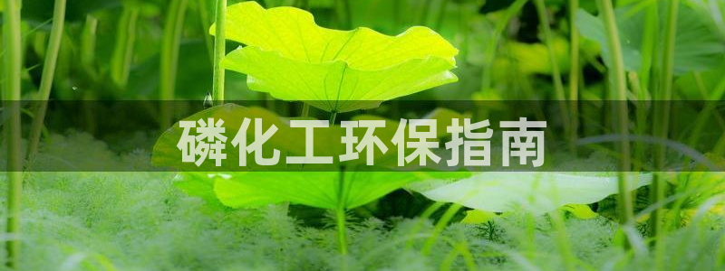 亿万先生客服联系电话：磷化工环保指南