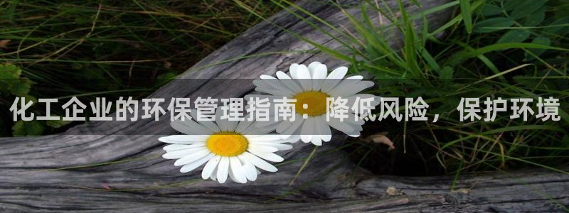 亿万先生手游下载：化工企业的环保管理指南：降低风险，保护环境