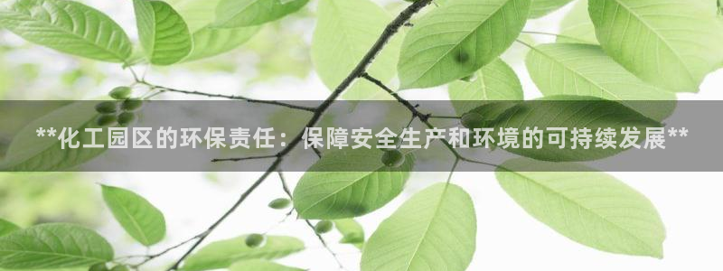 亿万先生情侣车有什么用：**化工园区的环保责任：保障安全生产和环境的可持续发展**