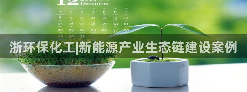 亿万先生官方登录网址：浙环保化工|新能源产业生态链建设案例