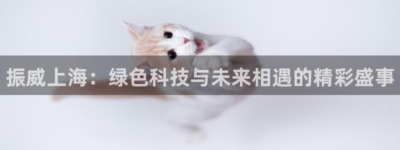 亿万首富游戏破解版无限钻石：振威上海：绿色科技与未来相遇的精彩盛事