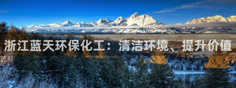电影 亿万：浙江蓝天环保化工：清洁环境、提升价值