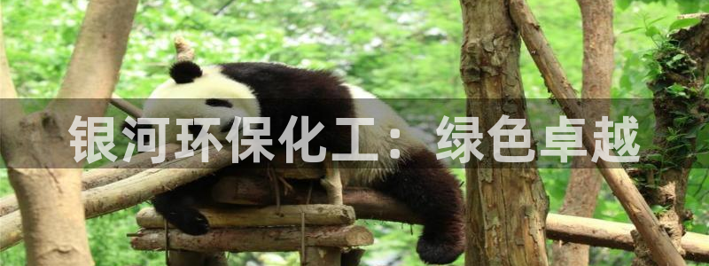 亿万先生网页版：银河环保化工：绿色卓越