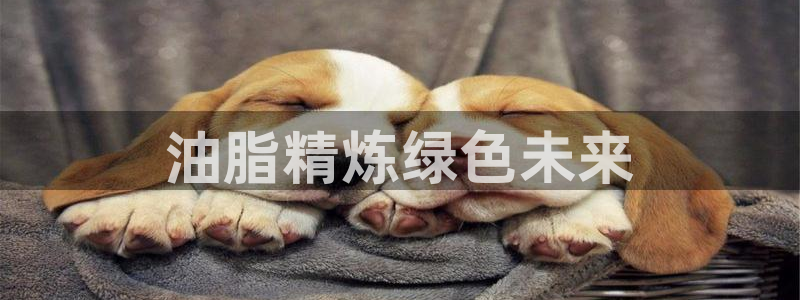 亿万首富手游：油脂精炼绿色未来