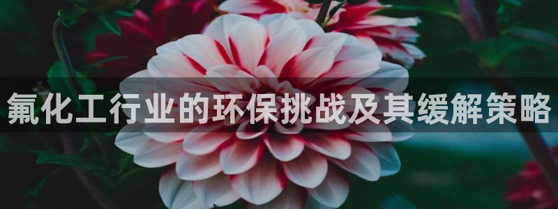 亿万官网字幕组官网下载：氟化工行业的环保挑战及其缓解策略