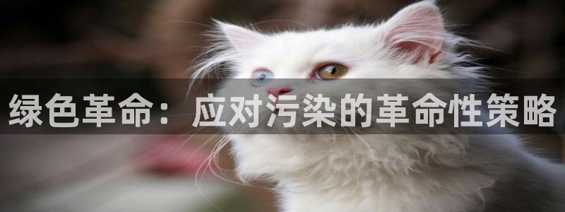 亿万先生客户端怎么下载：绿色革命：应对污染的革命性策略