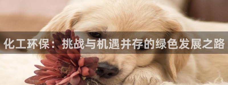 亿万先生MR - 亿万先生mr008cc：化工环保：挑战与机遇并存的绿色发展之路