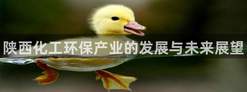 亿万百度贴吧：陕西化工环保产业的发展与未来展望