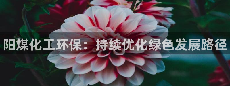 mr001亿万先生：阳煤化工环保：持续优化绿色发展路径