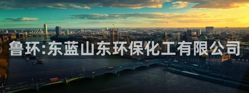 电影亿万：鲁环:东蓝山东环保化工有限公司