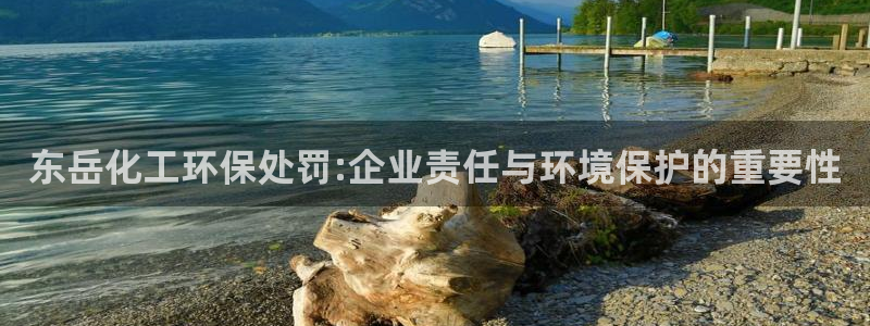 亿万网友在线解答：东岳化工环保处罚:企业责任与环境保护的重要性