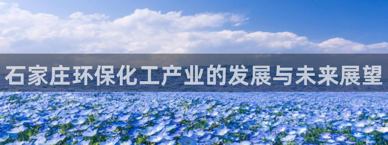 亿万先生客户端下载：石家庄环保化工产业的发展与未来展望