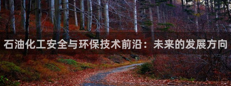 亿万先生是男是女：石油化工安全与环保技术前沿：未来的发展方向