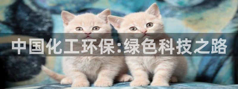 亿万28下载地址：中国化工环保:绿色科技之路