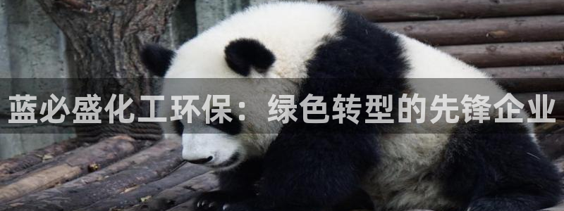 亿万先生官方网站客户端下载安装最新版：蓝必盛化工环保：绿色转型的先锋企业