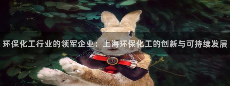 亿万百度百科：环保化工行业的领军企业：上海环保化工的创新与可持续发展