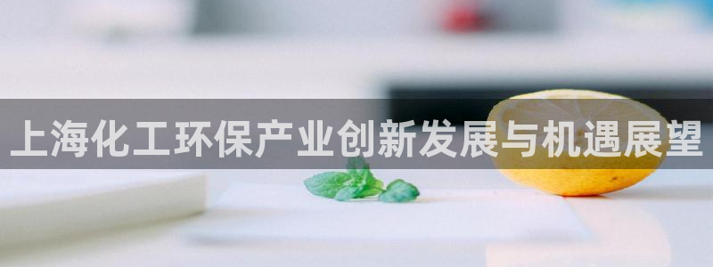 亿万第一季字幕：上海化工环保产业创新发展与机遇展望