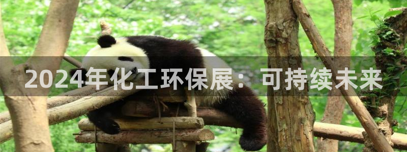 亿万先生手机网页：2024年化工环保展：可持续未来