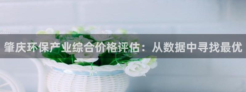 亿万先生换网址了吗知乎：肇庆环保产业综合价格评估：从数据中寻找最优