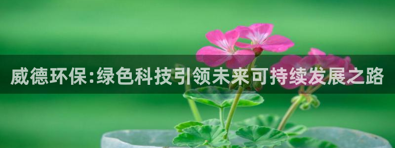 亿万城市手游：威德环保:绿色科技引领未来可持续发展之路