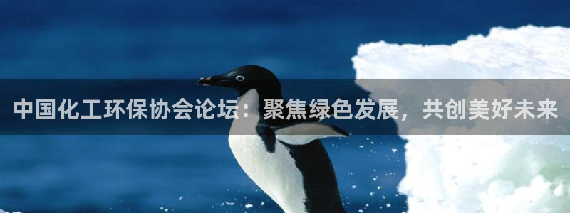 亿万先生客服联系：中国化工环保协会论坛：聚焦绿色发展，共创美好未来
