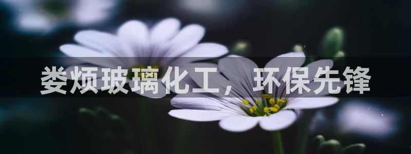 亿万千百十：娄烦玻璃化工，环保先锋