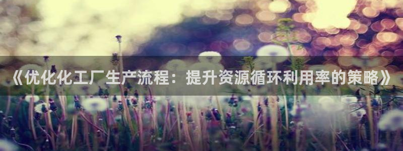 亿万先生充电桩：《优化化工厂生产流程：提升资源循环利用率的策略》