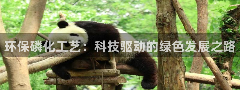 亿万先生网页版：环保磷化工艺：科技驱动的绿色发展之路