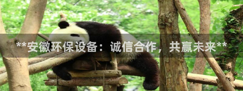 亿万第一季百科：**安徽环保设备：诚信合作，共赢未来**