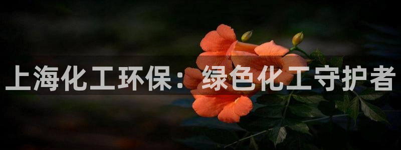 亿万先生官方网站客户端下载安装最新版：上海化工环保：绿色化工守护者