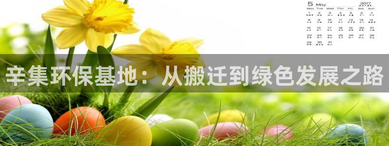 电影 亿万：辛集环保基地：从搬迁到绿色发展之路