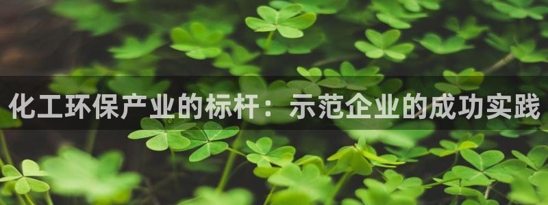 亿万先生客户端官网下载：化工环保产业的标杆：示范企业的成功实践