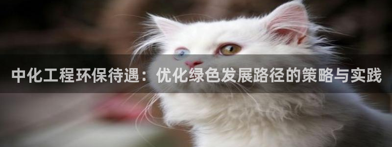 亿万先生网页版下载：中化工程环保待遇：优化绿色发展路径的策略与实践