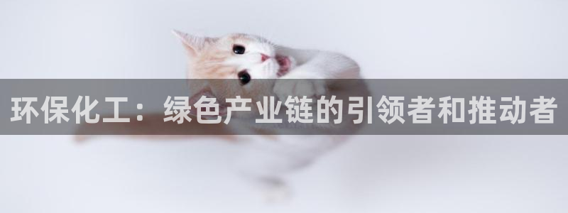 亿万首富手游兑换码：环保化工：绿色产业链的引领者和推动者