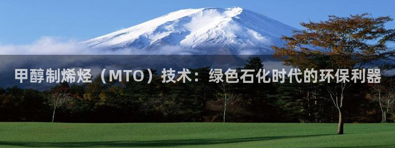 亿万先生官方网站首页：甲醇制烯烃（MTO）技术：绿色石化时代的环保利器