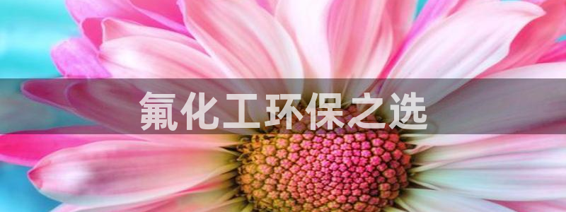 亿万先生客服：氟化工环保之选