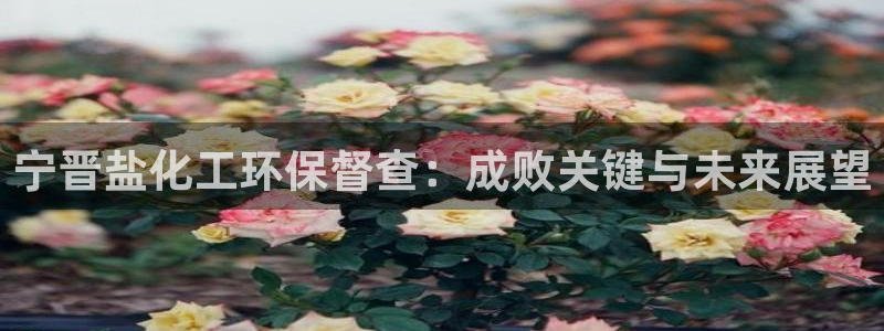 亿万先生 手机版下载：宁晋盐化工环保督查：成败关键与未来展望