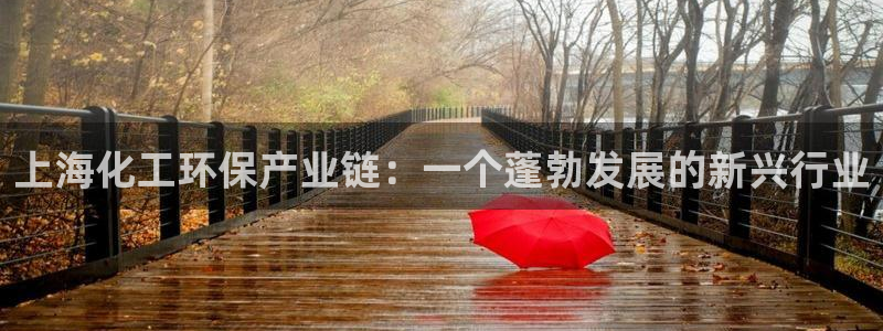 亿万先生007官网：上海化工环保产业链：一个蓬勃发展的新兴行业