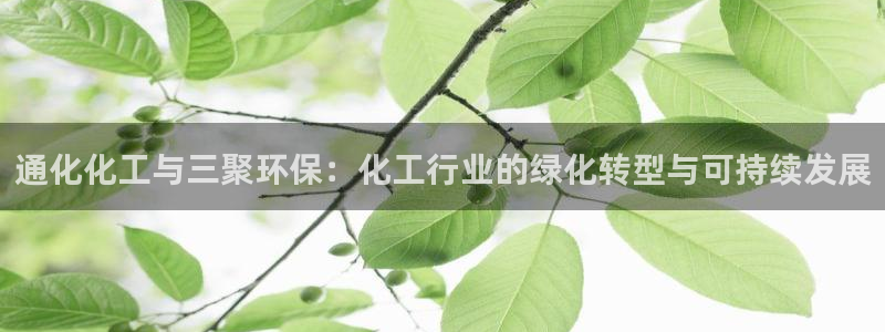 电影 亿万：通化化工与三聚环保：化工行业的绿化转型与可持续发展