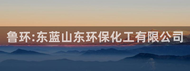 亿万千百十：鲁环:东蓝山东环保化工有限公司
