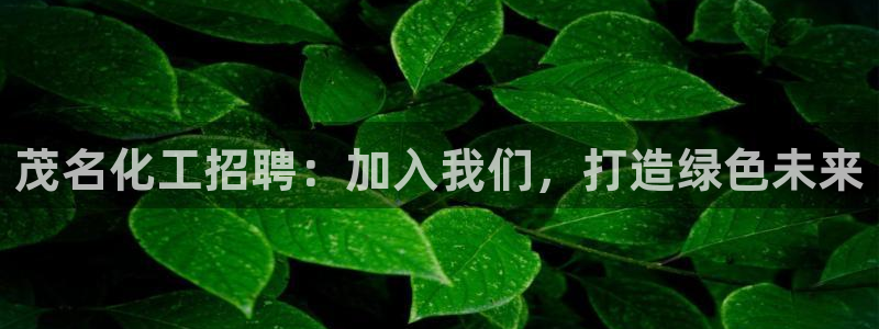 亿万剧情详解：茂名化工招聘：加入我们，打造绿色未来