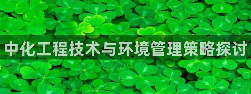 亿万第一季字幕：中化工程技术与环境管理策略探讨