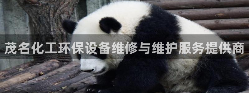 亿万讲什么：茂名化工环保设备维修与维护服务提供商
