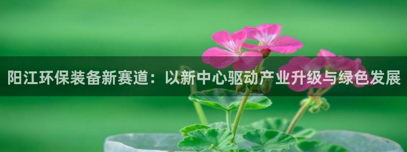 亿万先生 手机版下载最新版：阳江环保装备新赛道：以新中心驱动产业升级与绿色发展