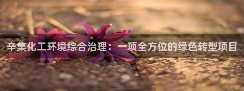 亿万先生合并网址在哪：辛集化工环境综合治理：一项全方位的绿色转型项目