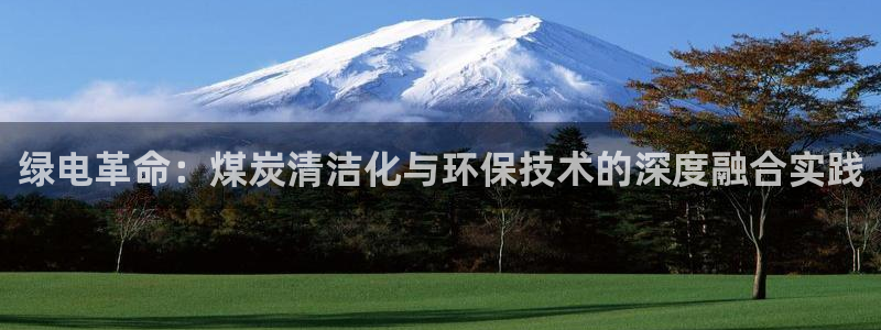 官方网站下载亿万人生：绿电革命：煤炭清洁化与环保技术的深度融合实践