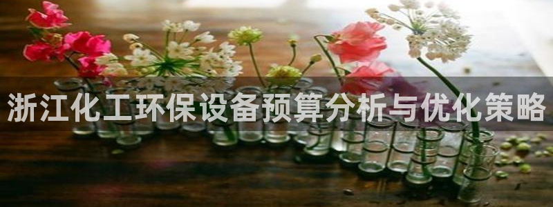 亿万先生客服联系方式查询：浙江化工环保设备预算分析与优化策略