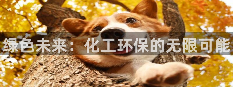 亿万首富游戏：绿色未来：化工环保的无限可能